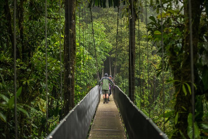 Arenal volcano, hanging bridges and sloth encounter tour.