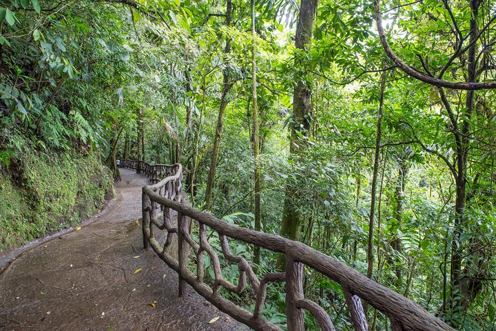 La Fortuna Waterfall, Hanging Bridges, Arenal Volcano Combo Tour