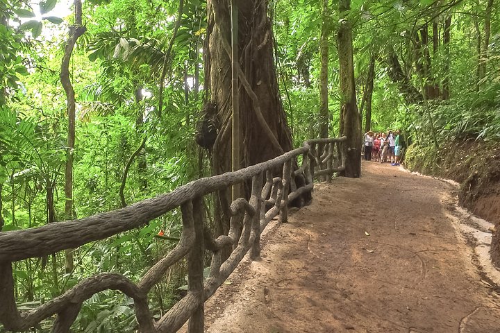 La Fortuna Waterfall, Hanging Bridges, Arenal Volcano Combo Tour