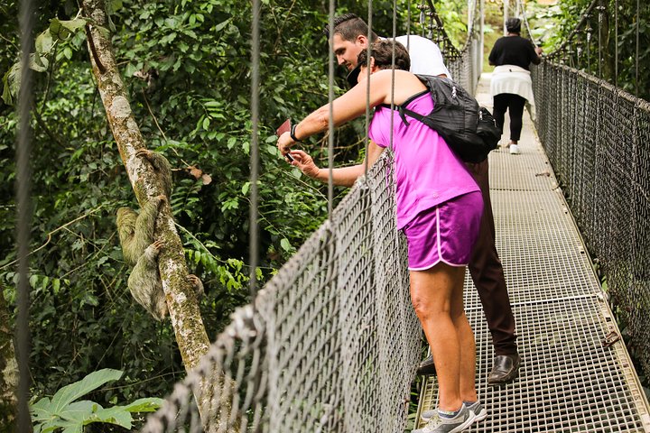 La Fortuna Waterfall, Hanging Bridges, Arenal Volcano Combo Tour
