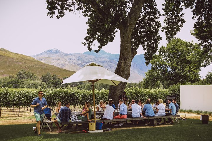 Full-Day Franschhoek Hop On Hop Off Wine Tram Tour from Cape Town
