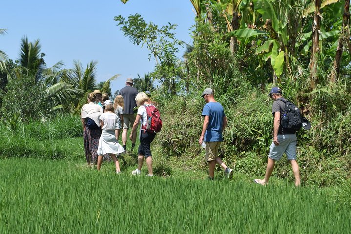 Tetebatu Walking Tour - Rice Terraces, Waterfall & Monkey Forest