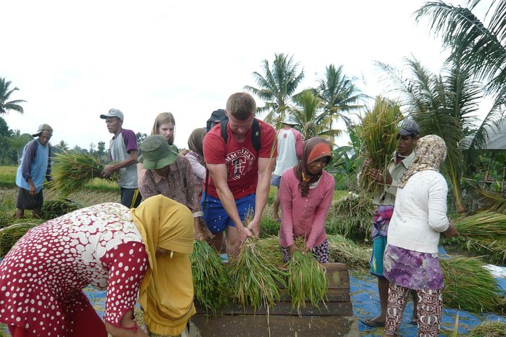 Tetebatu Walking Tour - Rice Terraces, Waterfall & Monkey Forest