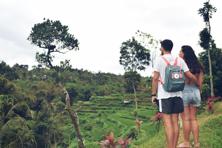 Tetebatu Walking Tour - Rice Terraces, Waterfall & Monkey Forest