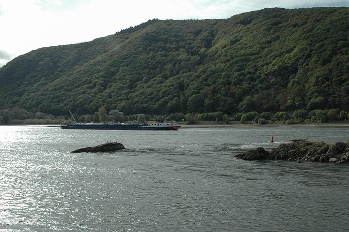 Rhine Valley Trip from Frankfurt including Rhine River Cruise