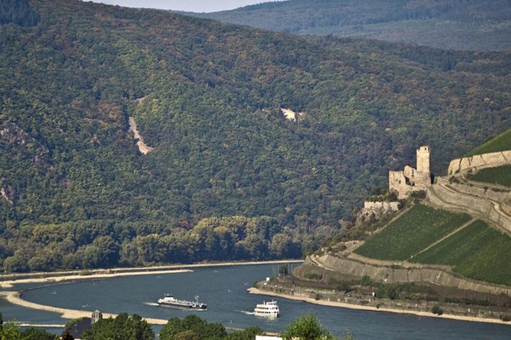 Rhine Valley Trip from Frankfurt including Rhine River Cruise