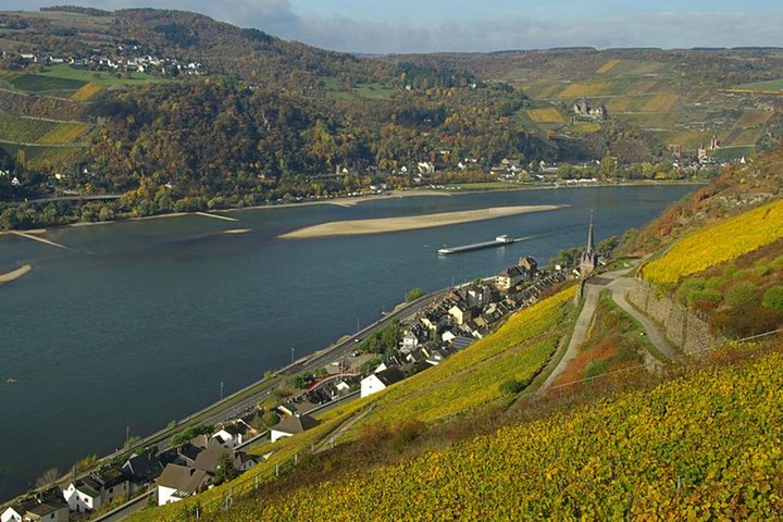 Rhine Valley Trip from Frankfurt including Rhine River Cruise