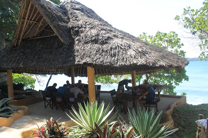 PILLI PIPA DHOW, the genuine product, snorkeling tour to Kisite Marine Park