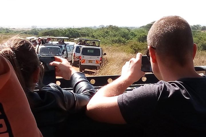 Safari Tour; Nairobi National Park