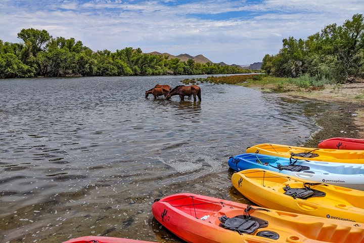 Kayaking the Salt River Foxtail Trip