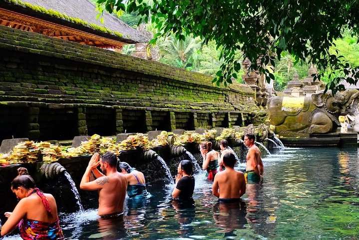 Ubud: Monkey Forest, Jungle Swing, Rice Terrace and Water Temple