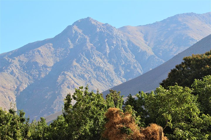 Classic Elqui Valley (Between vineyards and fruit trees)