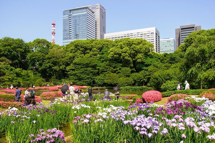 1-Day Tokyo Bus Tour
