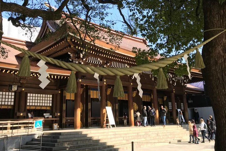 1-Day Tokyo Bus Tour