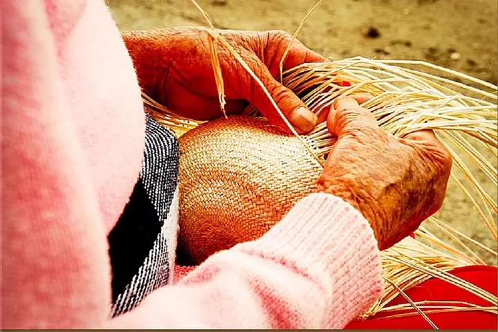 Cuenca Half-Day City Tour Including Panama Hat Factory