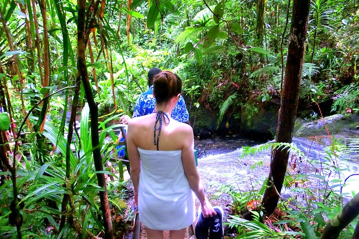 Customized Suva day tour