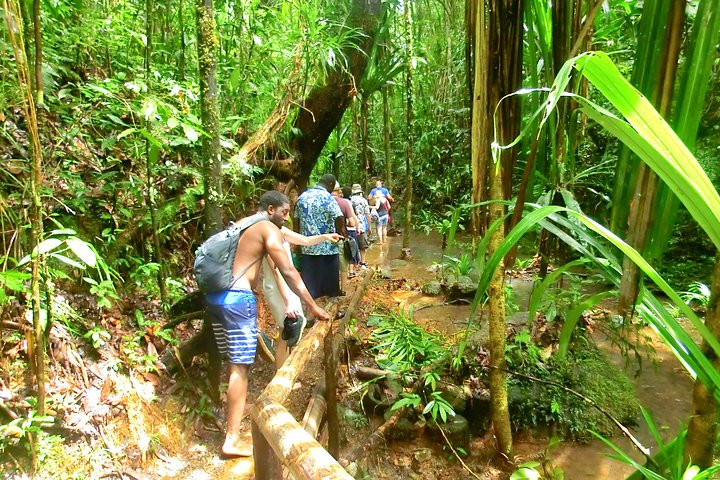 Customized Suva day tour