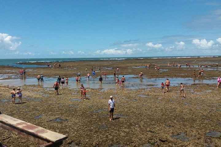 Aries Beach Tour from Maragogi by Top Tours