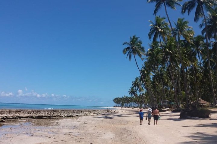 Aries Beach Tour from Maragogi by Top Tours