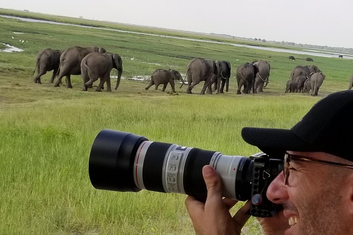 Chobe Day Trip From Victoria Falls Zimbabwe