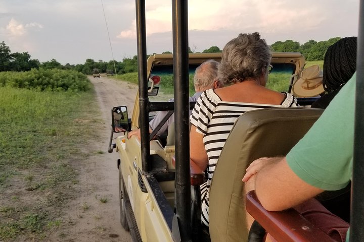 Chobe Day Trip From Victoria Falls Zimbabwe