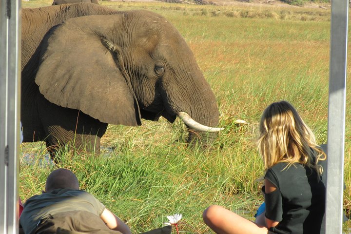 Chobe Day Trip From Victoria Falls Zimbabwe