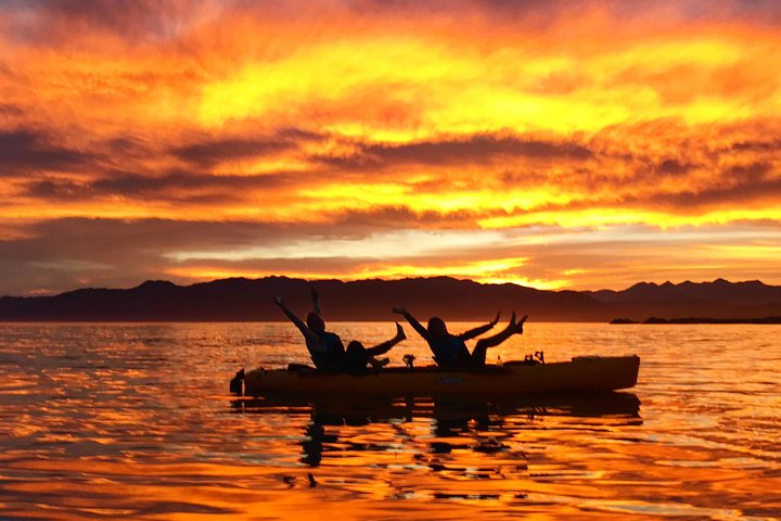 Seal Kayaking Adventure in Kaikoura