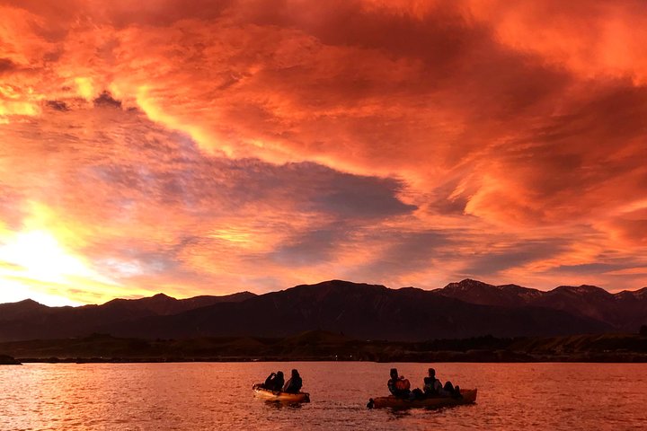 Seal Kayaking Adventure in Kaikoura