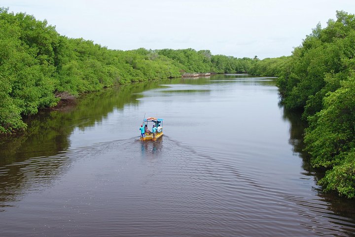 São Miguel dos Milagres Tour from Maragogi with Costazul Turismo
