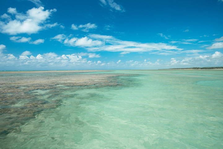 São Miguel dos Milagres Tour from Maragogi with Costazul Turismo
