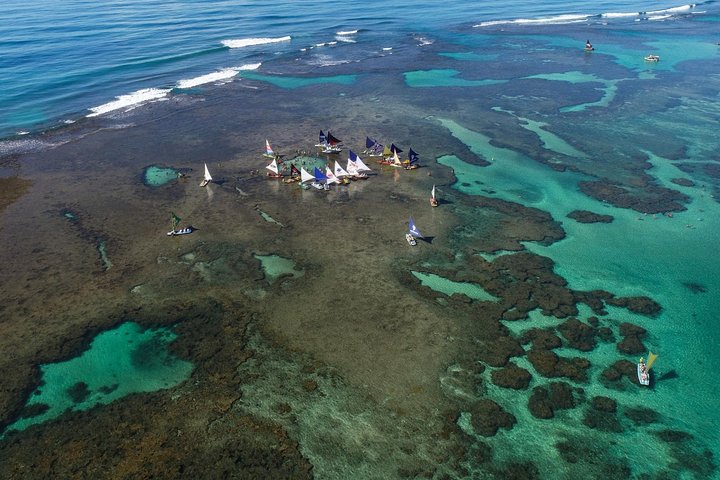 Porto de Galinhas Tour from Maragogi by Costazul Turismo