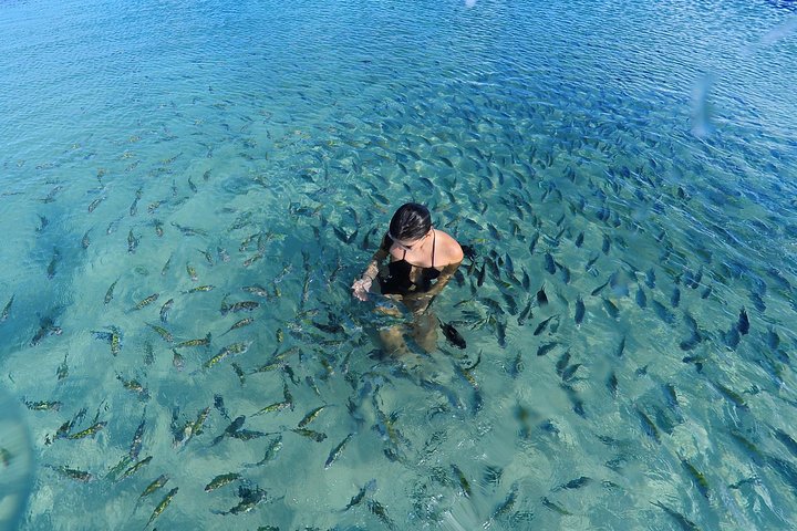 Porto de Galinhas Tour from Maragogi by Costazul Turismo