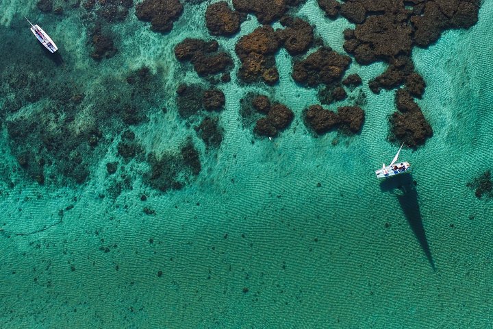 Porto de Galinhas Tour from Maragogi by Costazul Turismo