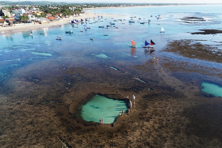 Porto de Galinhas Tour from Maragogi by Costazul Turismo