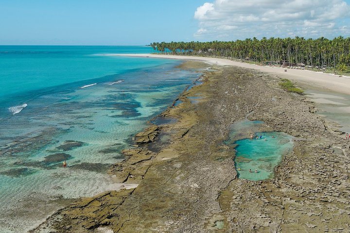 Carneiros Beach Tour from Maragogi with Costazul Turismo