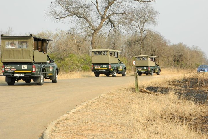 Kruger Park Safari - Half Day Game Drive from Hazyview