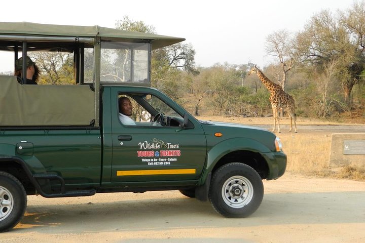 Kruger Park Safari - Half Day Game Drive from Hazyview