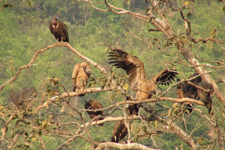 All Inclusive Nature Cycling trail in Orchha