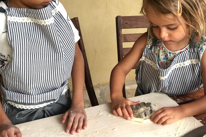 Organic cooking class with a sommelier in an Olive and wine farm