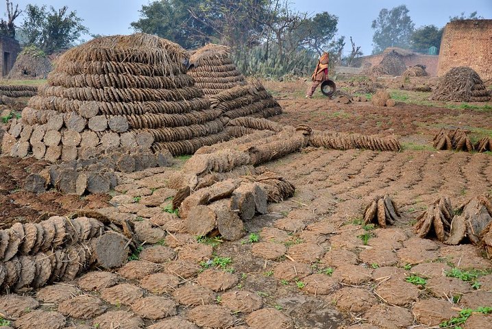 All Inclusive Tribal Village Walk with Visit to Taragram Project from Orchha