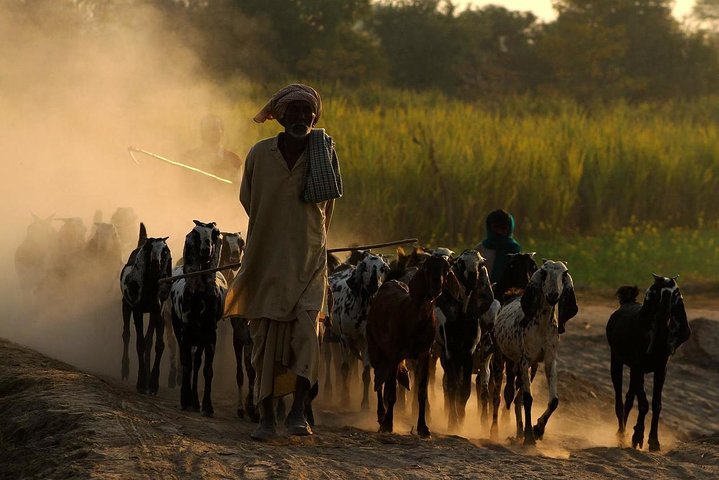 All Inclusive Tribal Village Walk with Visit to Taragram Project from Orchha