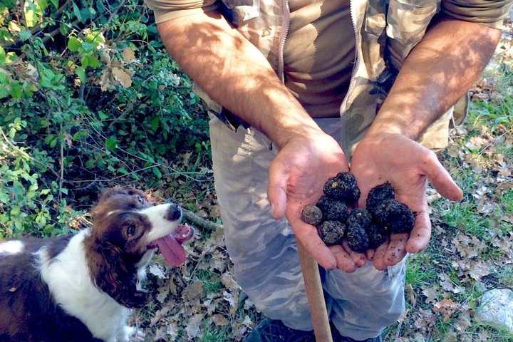 The Real Truffle Hunting in Abruzzo