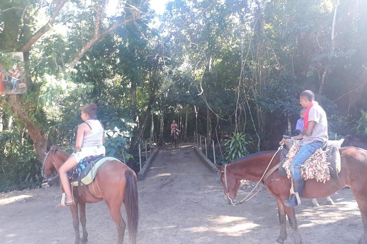Samaná Island & Waterfall Adventure: Bacardi Beach Experience