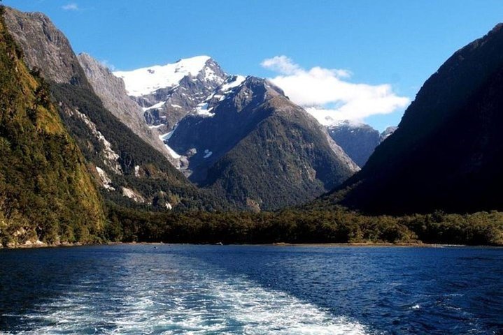 From Queenstown: Milford Sound Cruise & Glass-Roof Coach Tour