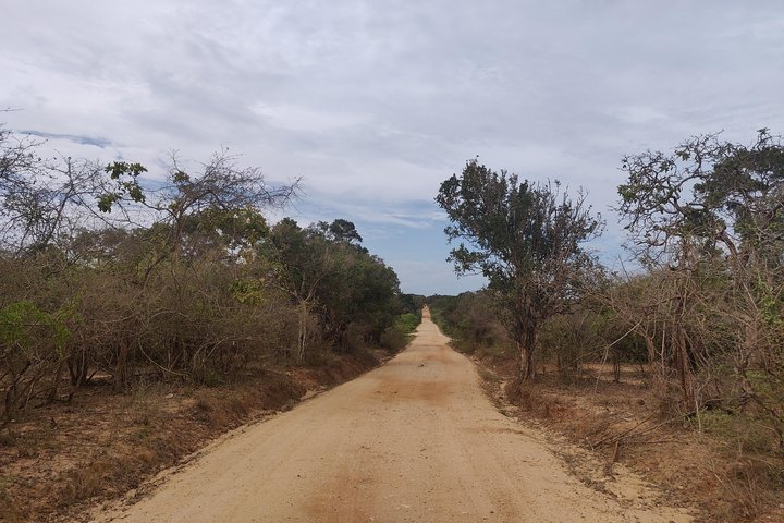 Yala National Park Safari from Ella
