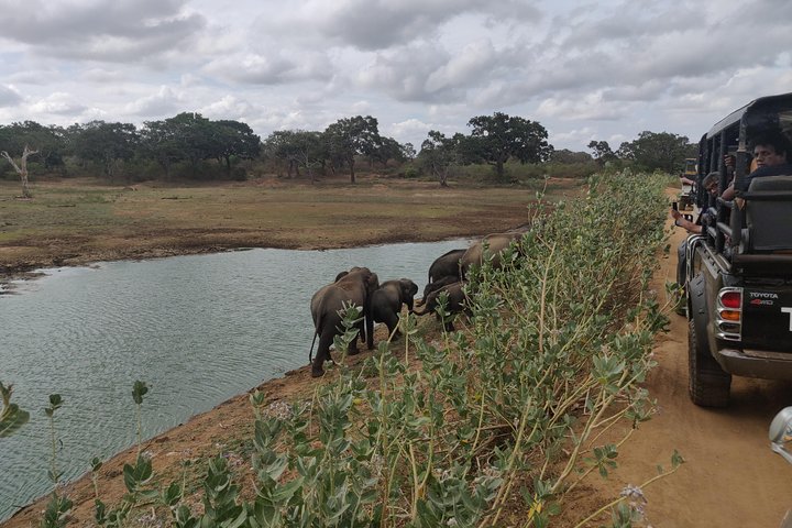 Yala National Park Safari from Ella