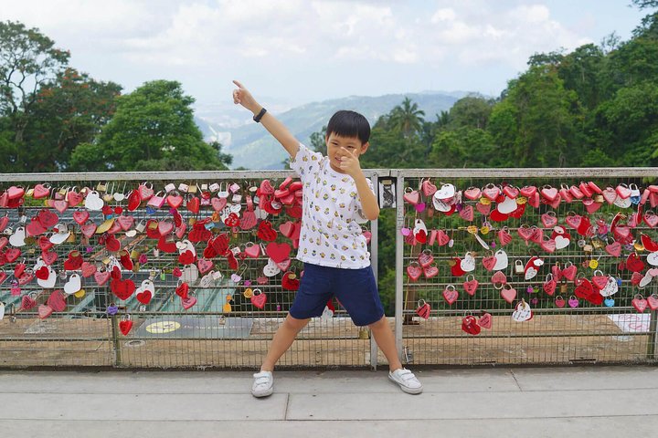 Penang City & Temple Tour With Penang Hill(Fast Lane)