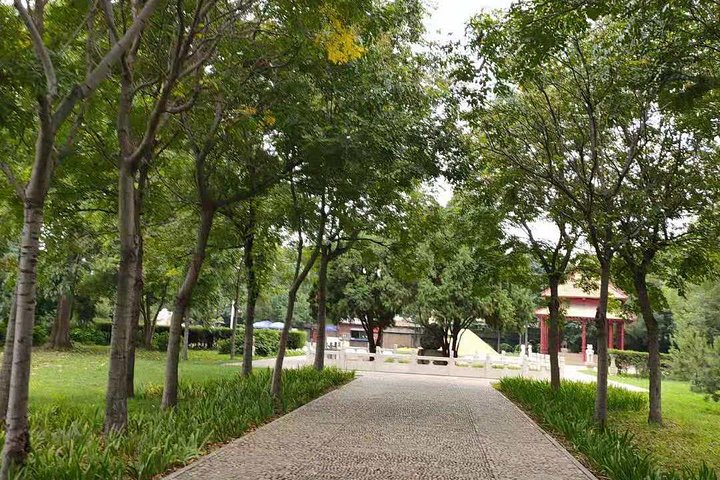 All inclusive Anyang Yin Xu ruins and Character Museum day tour from Zhengzhou