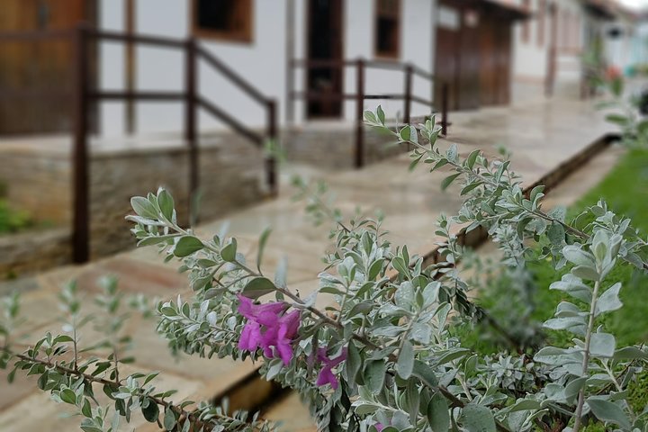Pirenópolis, the charming baroque city inaugurated in 1723 in the gold cycle