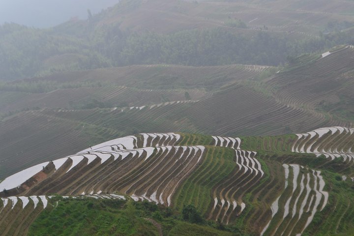 Longji Rice Terraces with Minority Village Private Day Tour